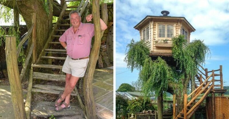 Дедушка решил спилить дерево в саду, но вид оттуда оказался так хорош, что он построил на нём домик