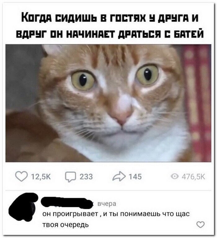 Скрины из социальных сетей