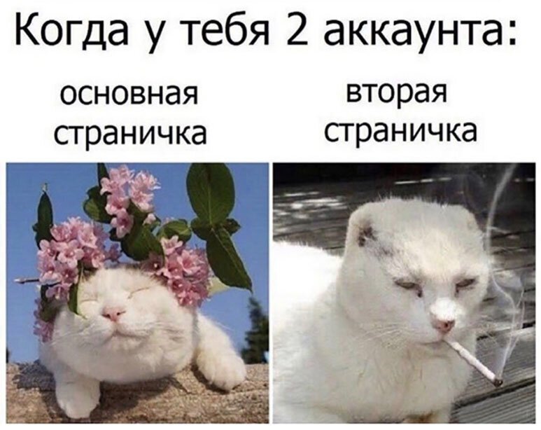 Прикольные и смешные картинки