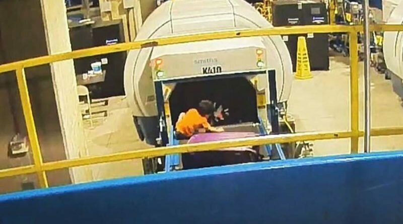 В американском аэропорту маленький мальчик в течение 5 минут путешествовал на багажном транспортёре