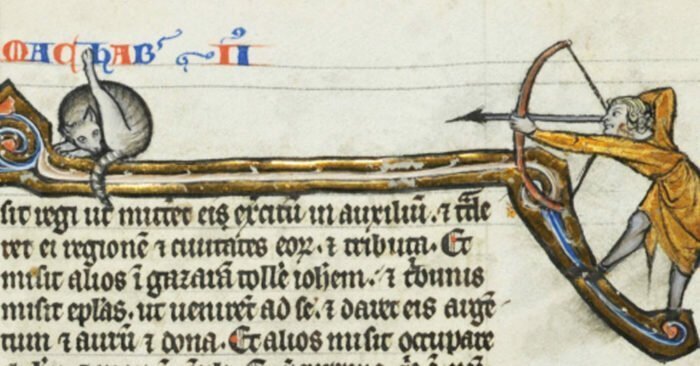 В сети заметили, что средневековые художники часто рисовали кошек. Но почему-то за одним и тем же