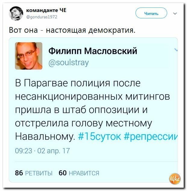 Политические картинки