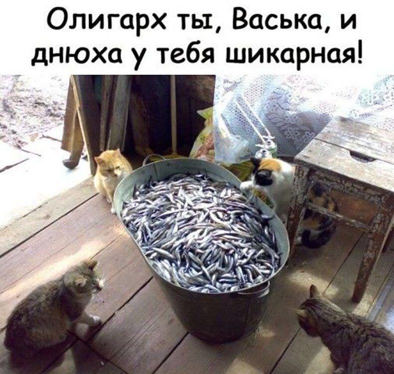 Прикольные и смешные картинки