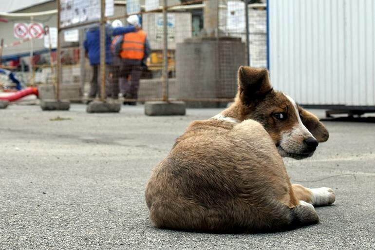 Потому что ты живёшь в России