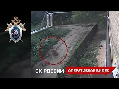 Падения болгарки на 2-летнюю девочку