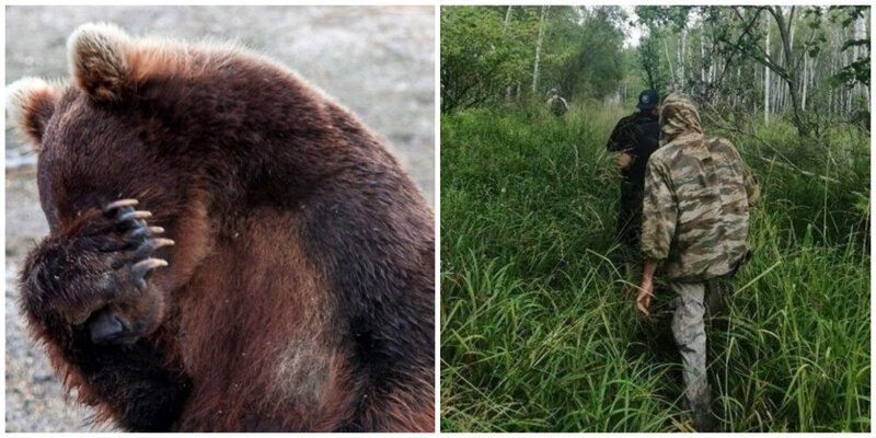 83-летняя россиянка сутки кричала и рычала из трясины на медведя