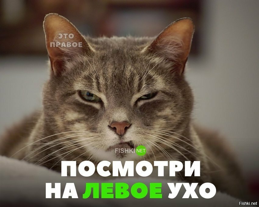 Не смотри на правое