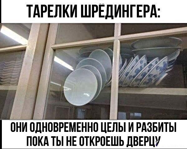 Прикольные и смешные картинки