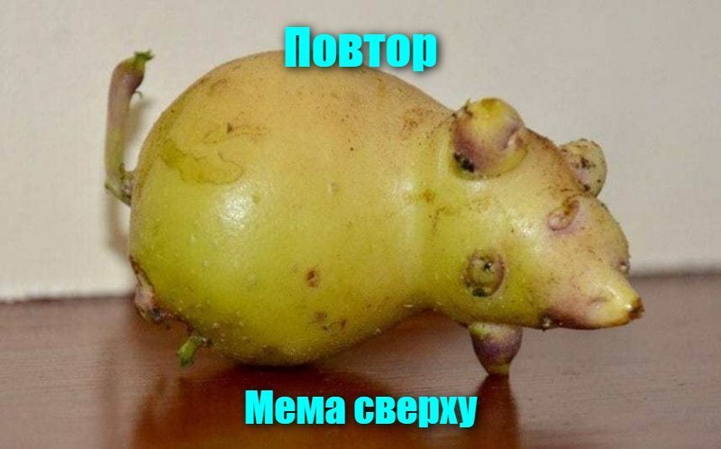 Повтор