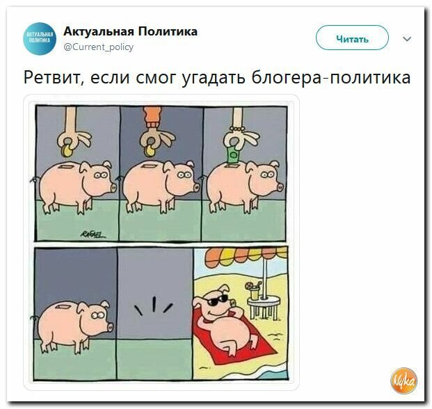 Политические картинки