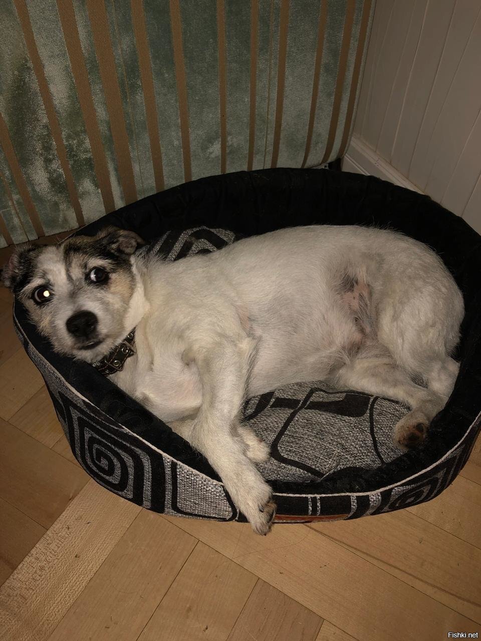 Вот она, моя Ракета