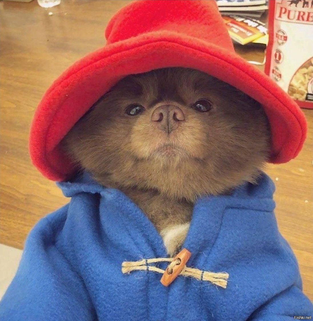 Солянка