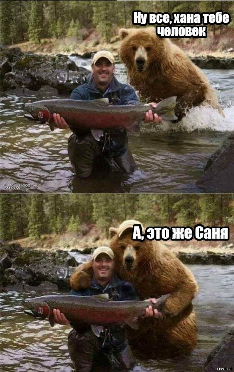 Солянка