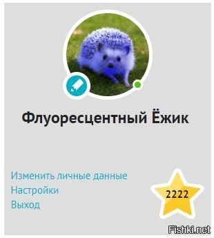 Спасибо, подрочил
