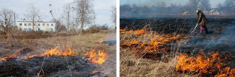 Можно ли жечь ветки на своем участке. Огонь стелется волной по земле. Нельзя жечь траву возле домов Кузбасс. Жечь картинка простая.