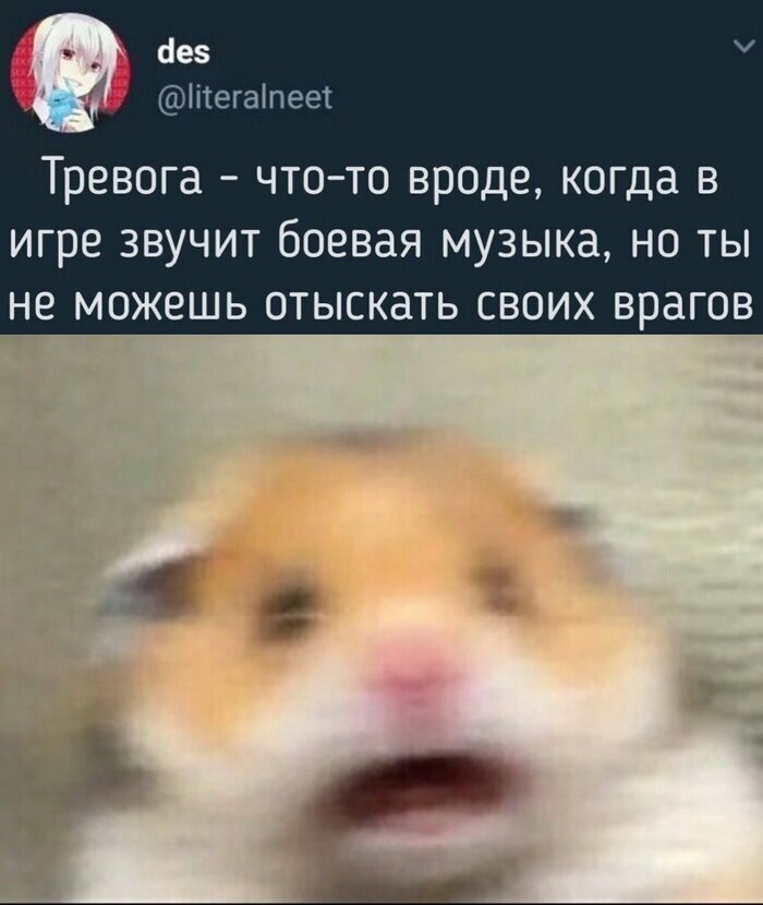 Скрины из социальных сетей