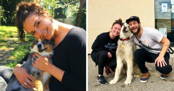 17 счастливых собак, которых недавно забрали из приюта