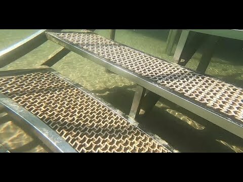 Гость из Будущего. Часть 1. Прибытие