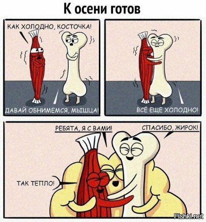 Солянка