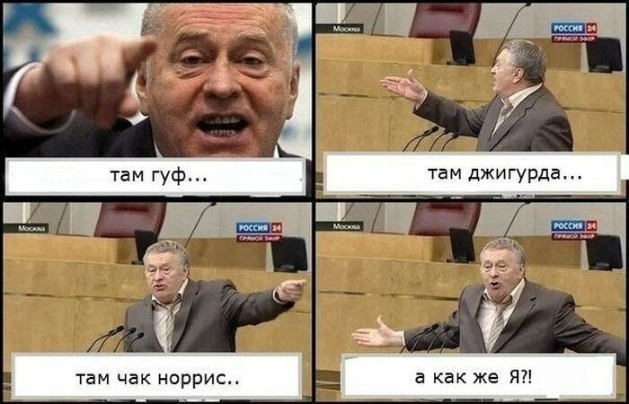 Подборка мемов с Жириновским