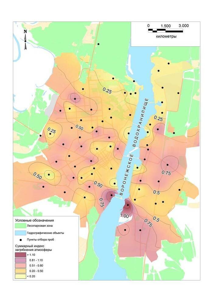 Медико-экологический атлас Воронежа: новая разработка ВГУ