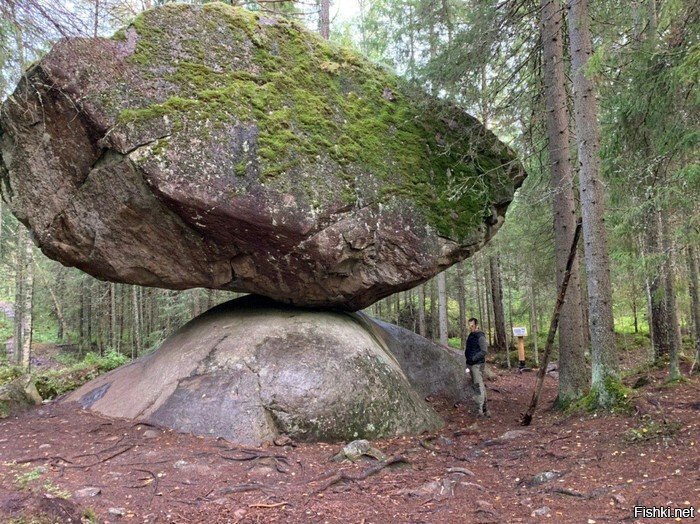 Солянка