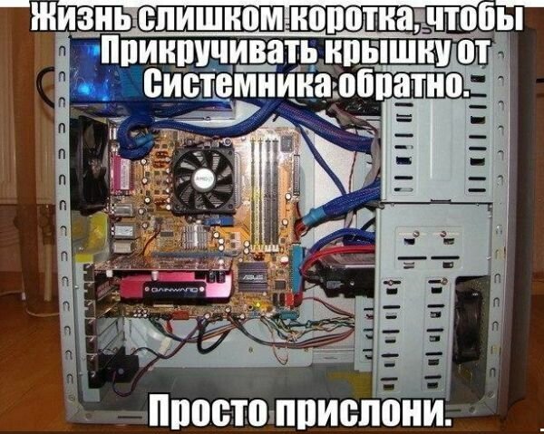 То ли смех, то ли слёзы