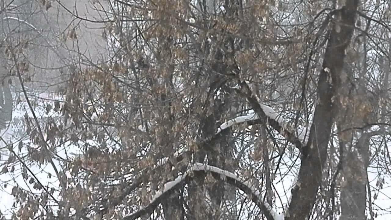 Солянка