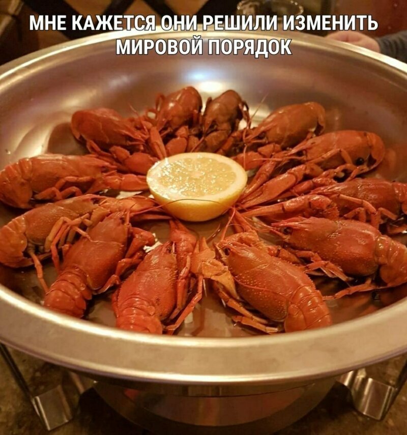 Раки-отшельники