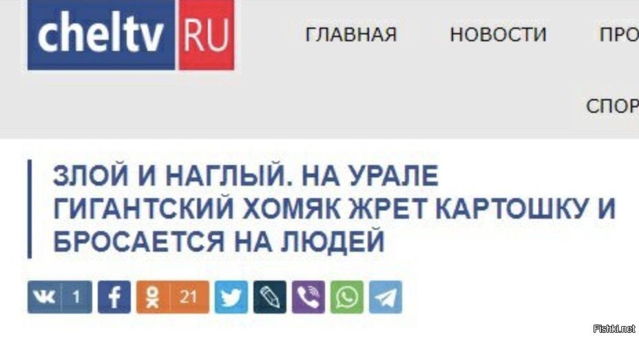 Солянка