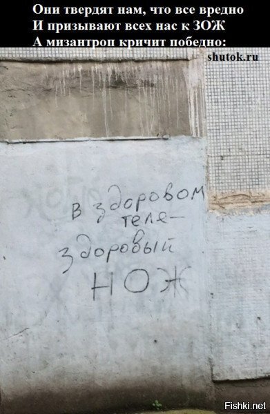 Солянка