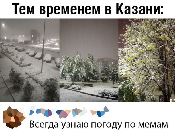 Прикольные и смешные картинки