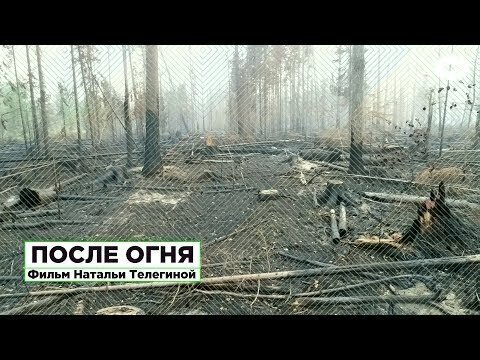 После огня. Фильм-расследование о причинах аномальных пожаров в сибирской тайге