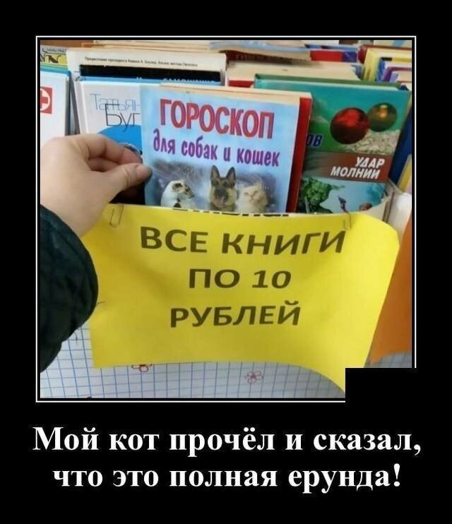 Демотиваторы