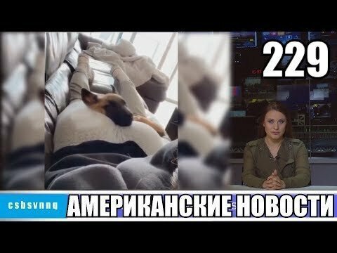 Hack News - Американские новости (Выпуск 229)