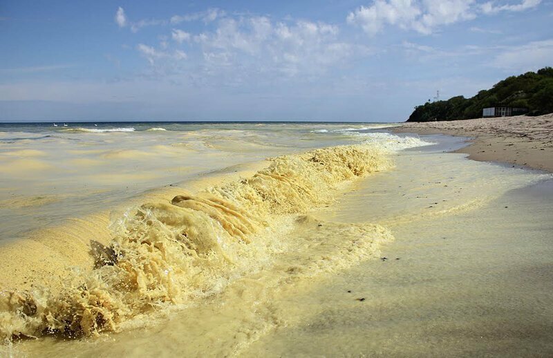 Почему Желтое море так называется?