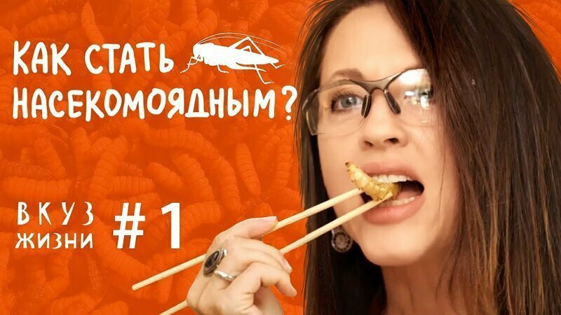 Как стать насекомоядным? Пять простых рецептов // ВКУЗ жизни #1