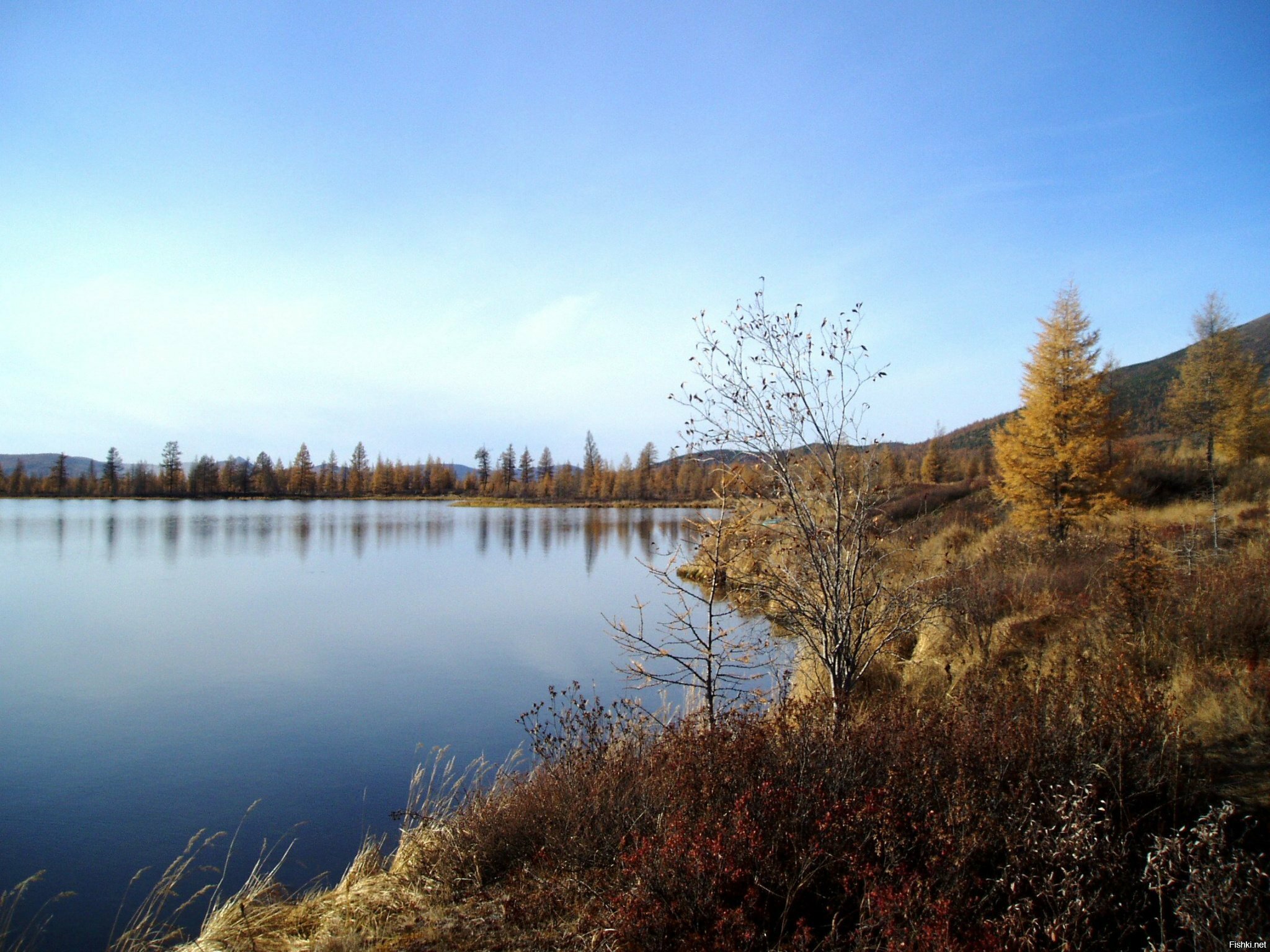 Осень на Элекчанских озёрах (Магаданская область)