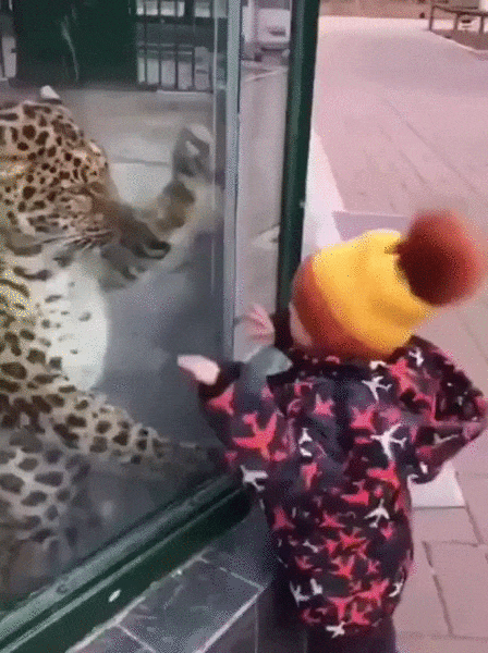 Сыграем в ладушки