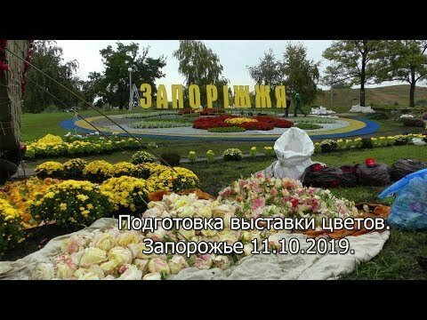 Подготовка выставки цветов