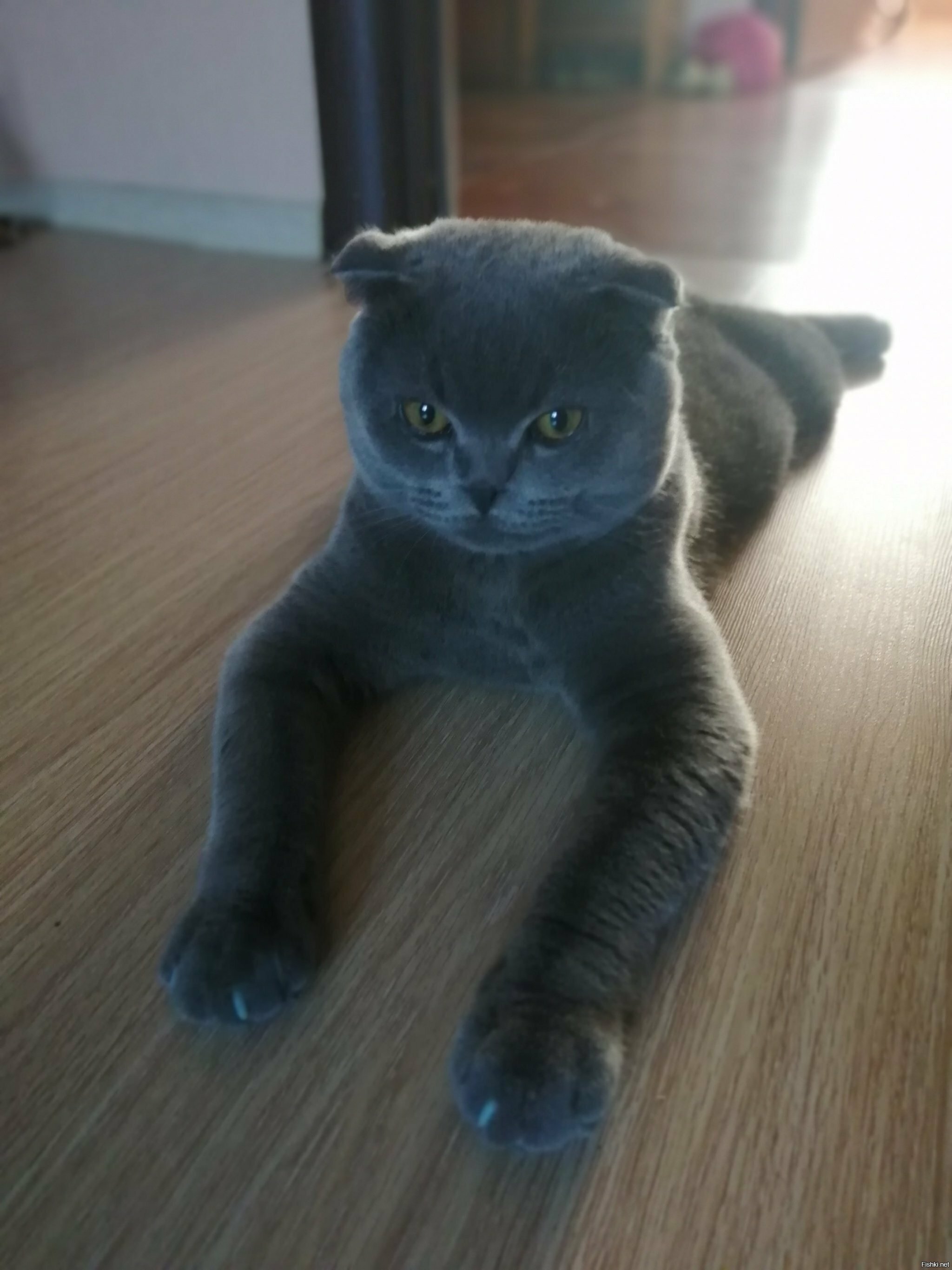 Почти 8 месяцев