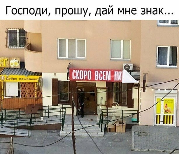 Прикольные и смешные картинки