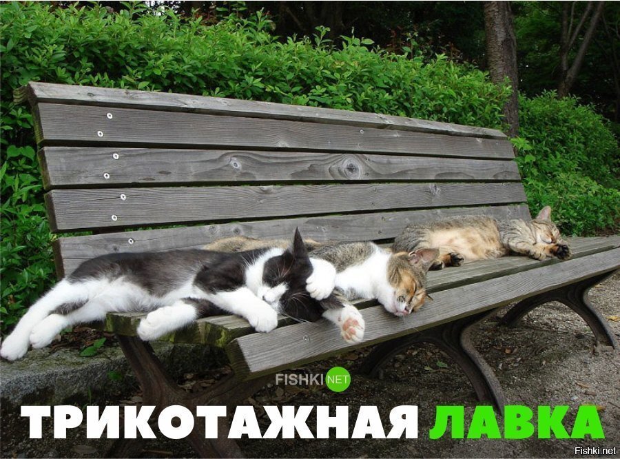 Трикотажная лавка