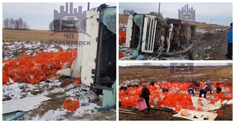 Праздник к нам приходит: после аварии с фурой россияне запаслись бесплатными мандаринами