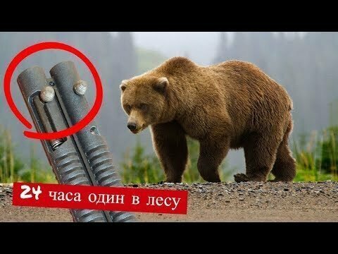 Отдых в зимнем лесу. Один из способов защиты от медведей