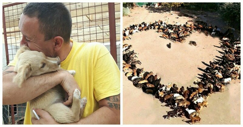 Житель Сербии открыл приют для собак и спас сотни жизней