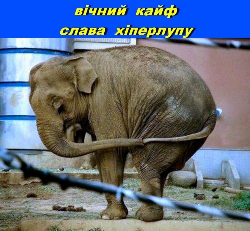 Газовая хиперлупа - апофеоз важных укромечт