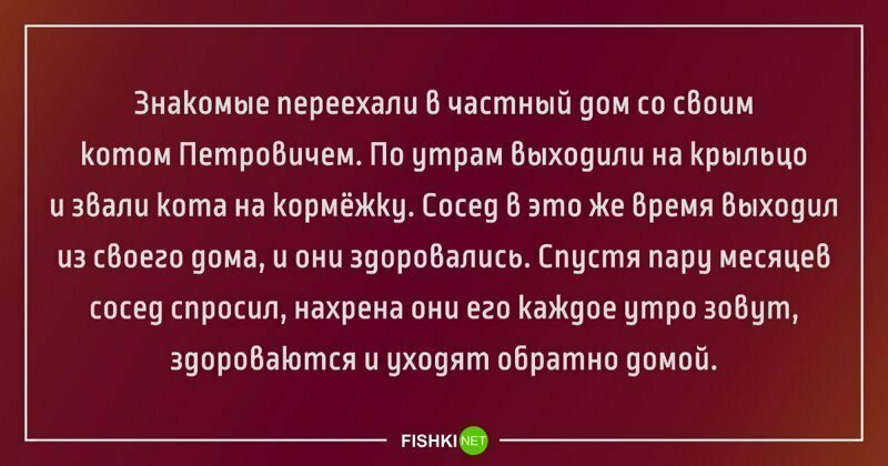 Забавные истории, которые случились в реальной жизни