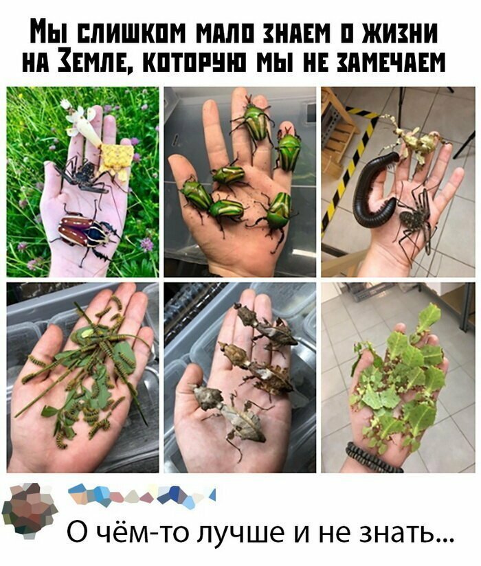 Скрины из социальных сетей