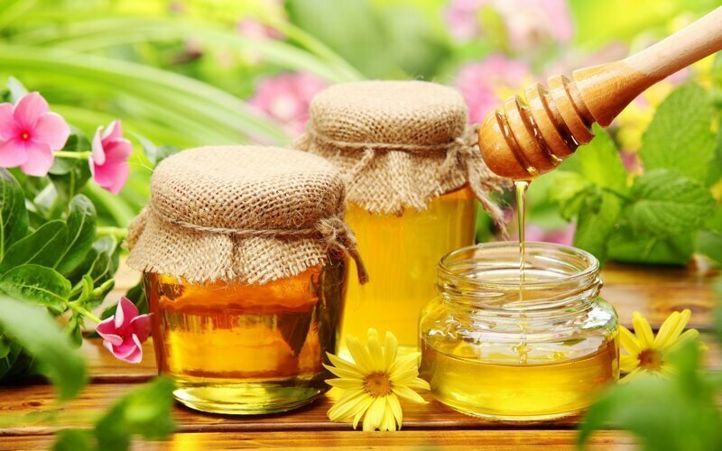 Подборка интересных фактов о мёде